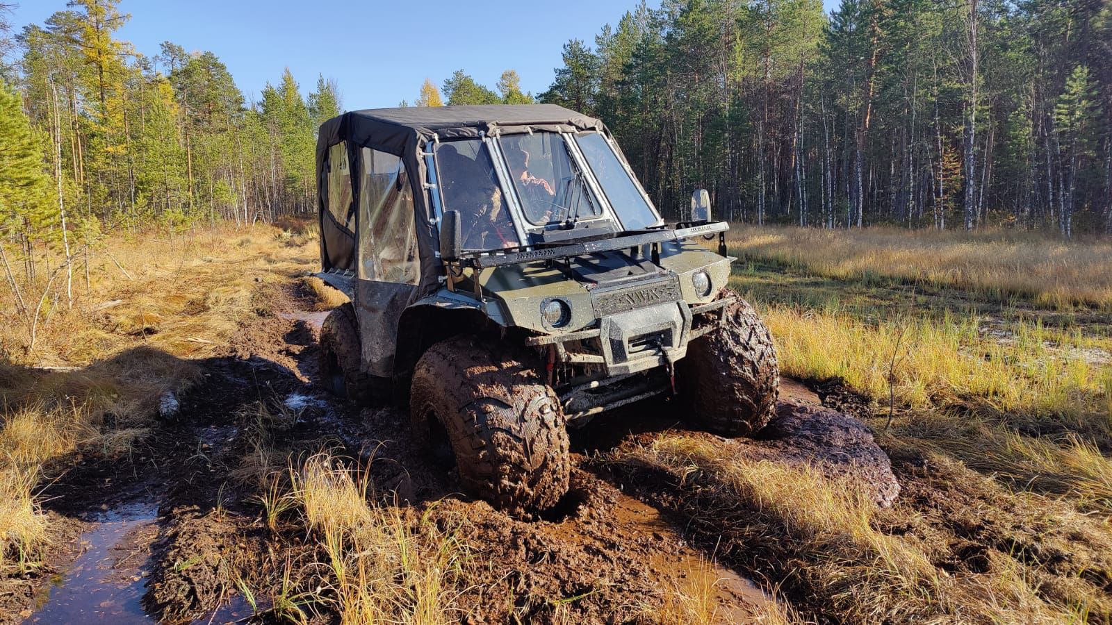 Непроходимые болота